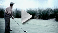 Adams Golf