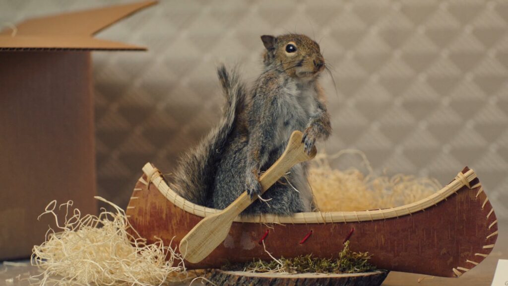 Squirrel sitting in a miniature canoe